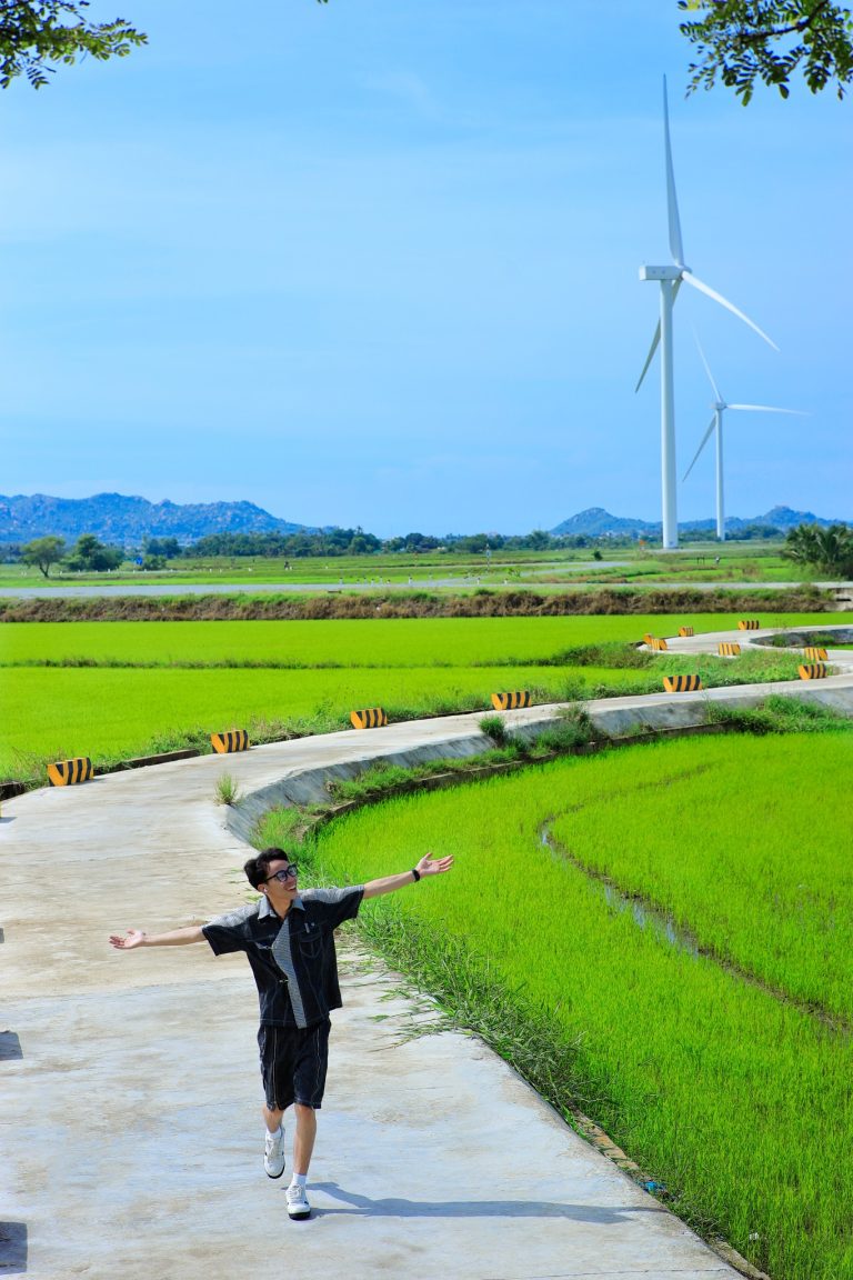 Khoảnh khắc tự do trên cánh đồng xanh
