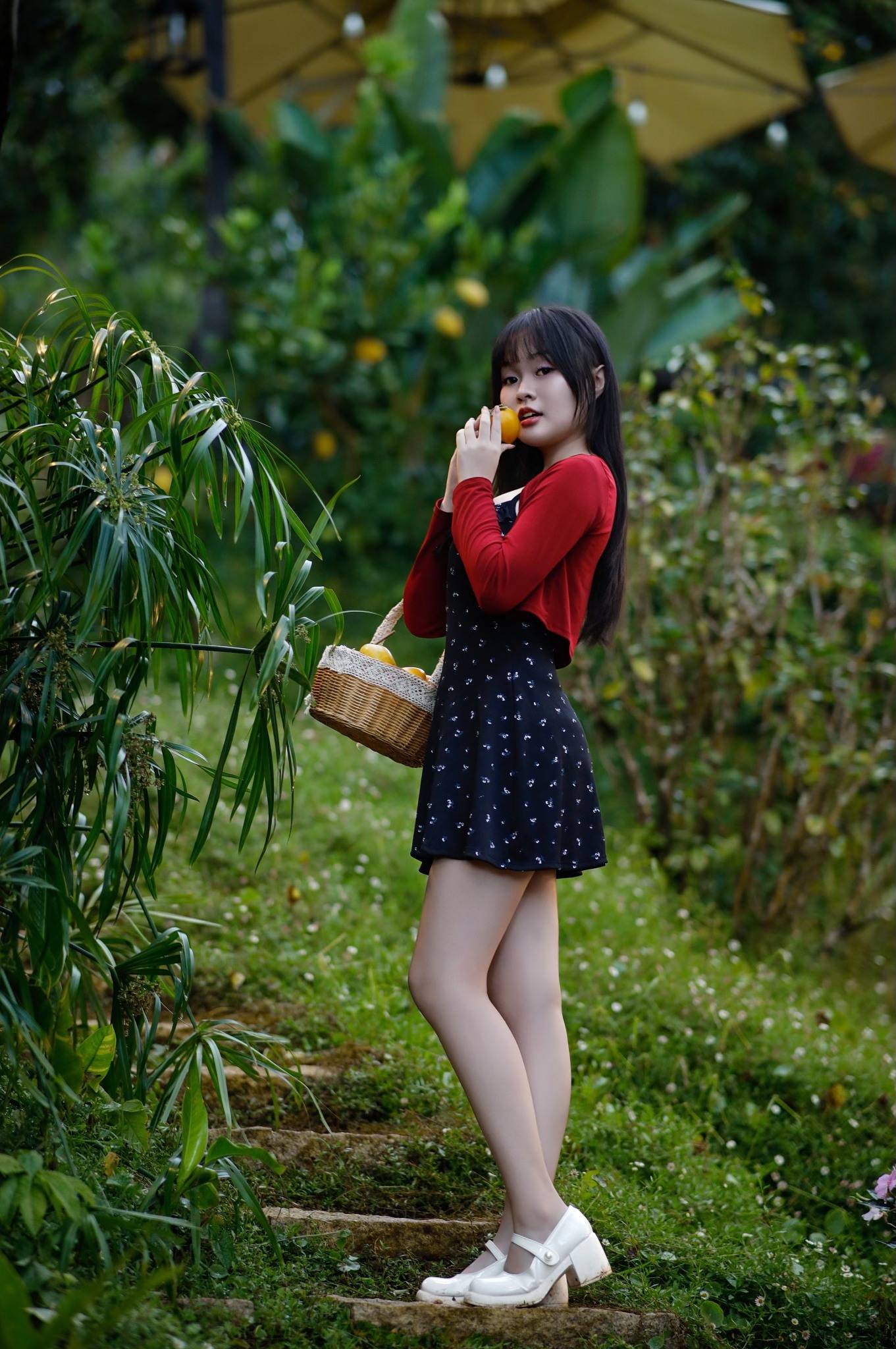 Chân dung mùa hồng của Hoài Balits